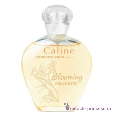 Gres Caline Blooming Moments 11