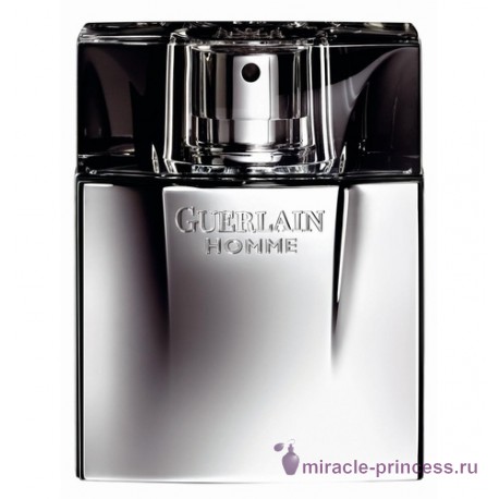 Guerlain Guerlain Homme 11