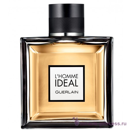 Guerlain L Homme Ideal 11