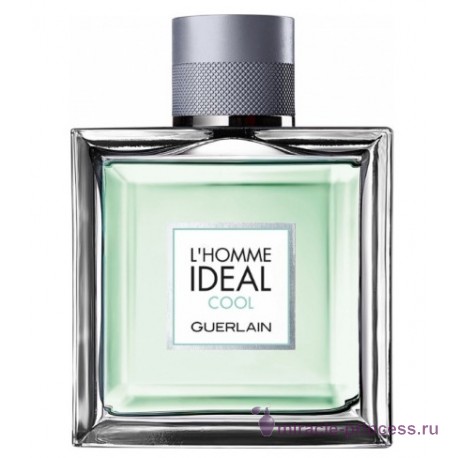 Guerlain L’homme Ideal Cool 11