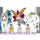 Hayari Parfums Ame Fauve