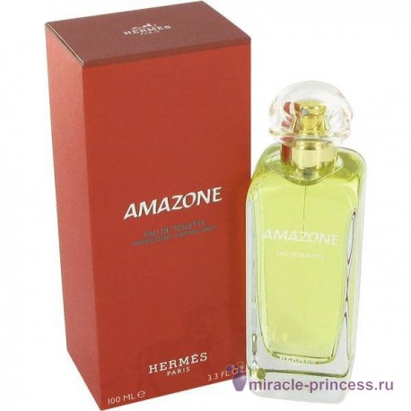 Hermes Amazone 22