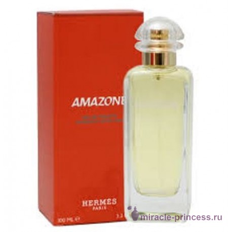 Hermes Amazone 22