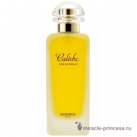 Hermes Caleche 11