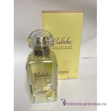 Hermes Caleche Eau Delicate 22