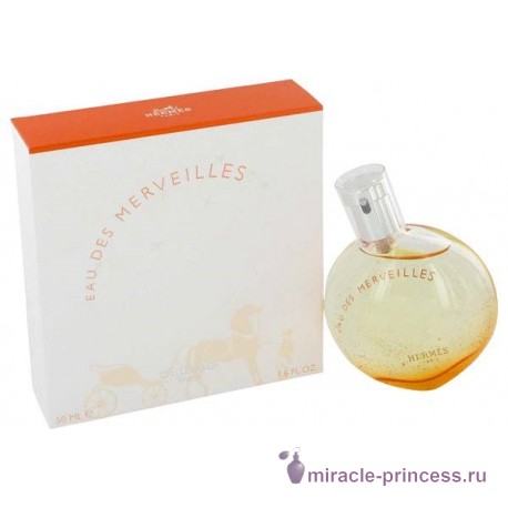 Hermes Eau de Merveilles 22