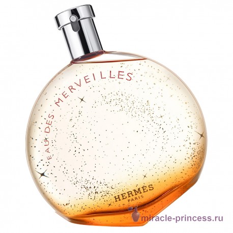 Hermes Eau de Merveilles 11