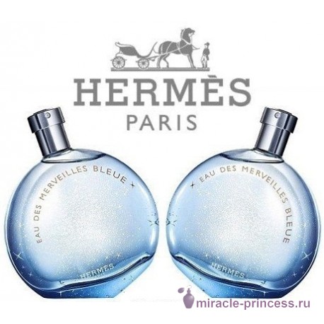 Hermes Eau Des Merveilles Bleue 22