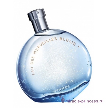 Hermes Eau Des Merveilles Bleue 11