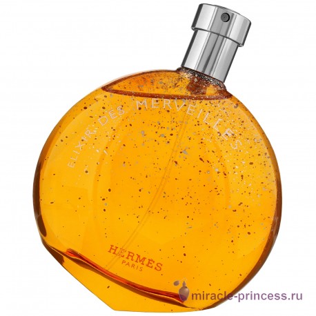 Hermes Eau des Merveilles Elixir 11