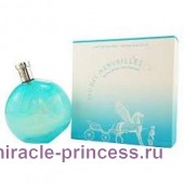 Hermes Eau des Merveilles Pegasus