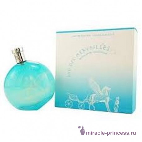 Hermes Eau des Merveilles Pegasus 22