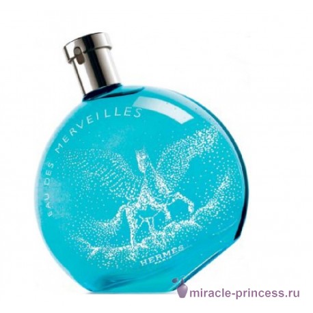 Hermes Eau des Merveilles Pegasus 11