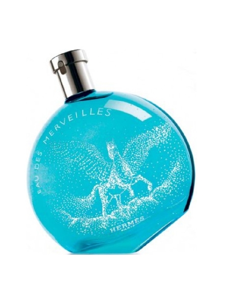 Hermes Eau des Merveilles Pegasus