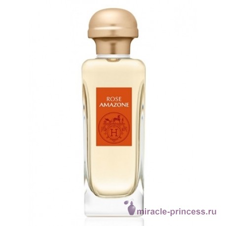 Hermes Rose Amazone 11