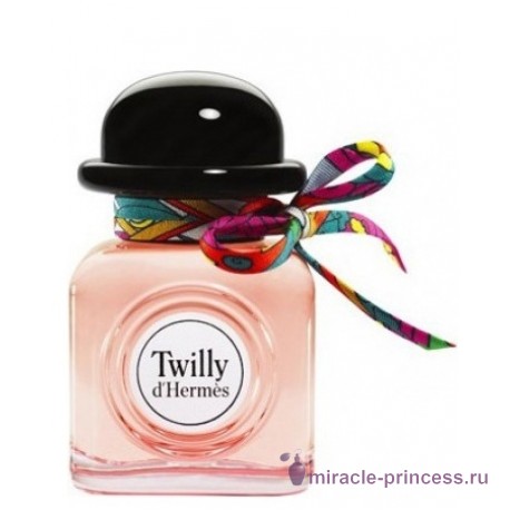 Hermes Twilly d`Hermes 11