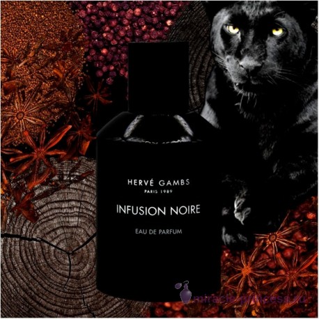 Herve Gambs Paris Infusion Noire 22