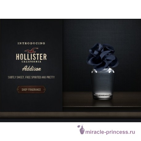 Hollister Addison 22