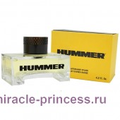 Hummer Hummer