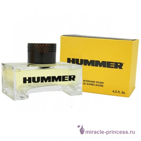 Hummer Hummer 22