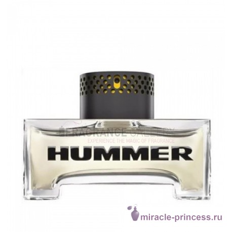 Hummer Hummer 11