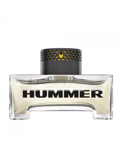 Hummer Hummer