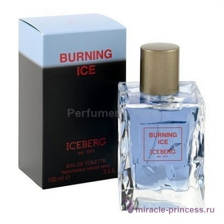 Iceberg Burning Ice 22