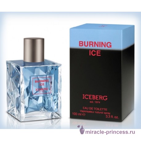 Iceberg Burning Ice 22