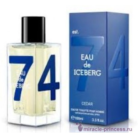 Iceberg Eau de Iceberg Cedar 22