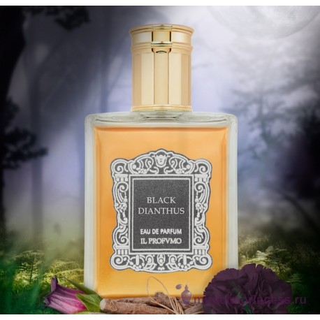 Il Profumo Black Dianthus 22