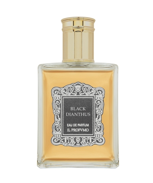 Il Profumo Black Dianthus