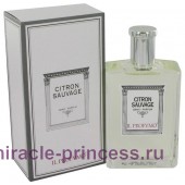 Il Profumo Citron Sauvage