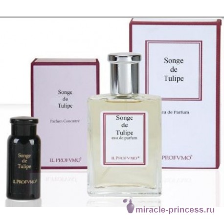 Il Profumo Songe de Tulipe 22