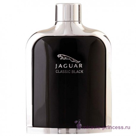 Jaguar Classic Black 11