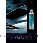 Jaguar Fresh Energy