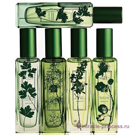 Jo Malone Lavender & Coriander 22