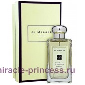 Jo Malone Lime Basil & Mandarin