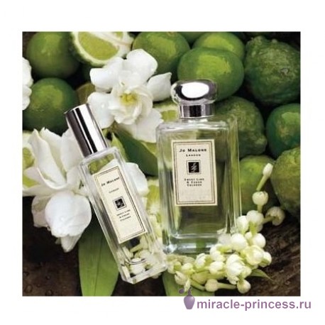 Jo Malone Sweet Lime & Cedar 22