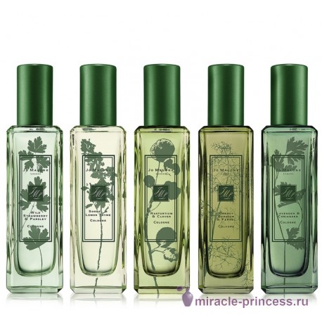 Jo Malone The Herb Garden Sorrel & Lemon Thyme 22