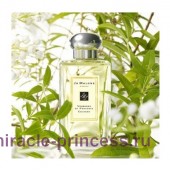 Jo Malone Verbenas of provence