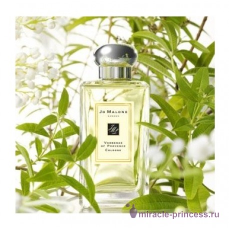 Jo Malone Verbenas of provence 22