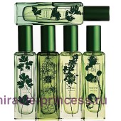 Jo Malone Wild Strawberry & Parsley