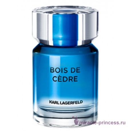 Karl Lagerfeld Bois de Cedre 11