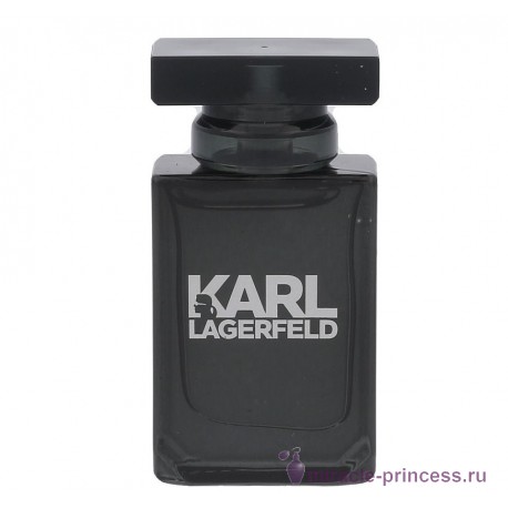 Karl Lagerfeld Karl Lagerfeld for Him 11