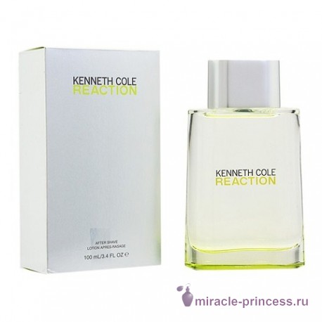 Kenneth Cole Reaction for Men 22