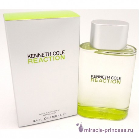 Kenneth Cole Reaction for Men 22