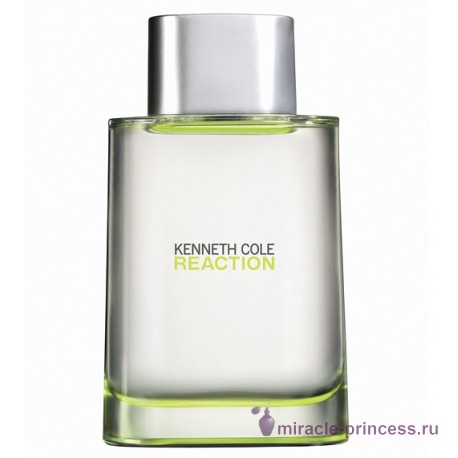 Kenneth Cole Reaction for Men 11