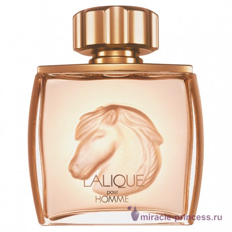 Lalique Equus 11