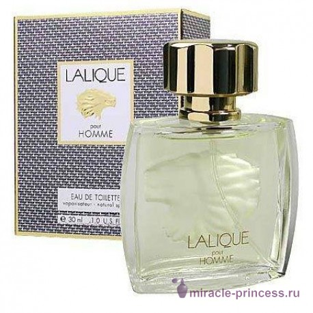 Lalique Lion 22