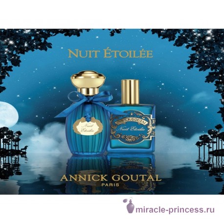 Annick Goutal Nuit Etoilee man 22